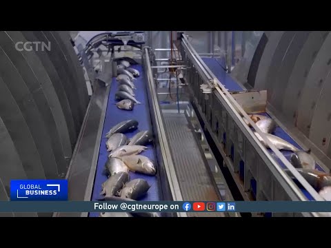Seafood exporters in