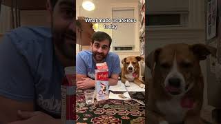 I Think Cammie Is Getting Suious