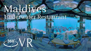 [8K VR 360] Most beautiful underwater restaurant in MaldivesAnantara Kihavah, Resort in Maldives