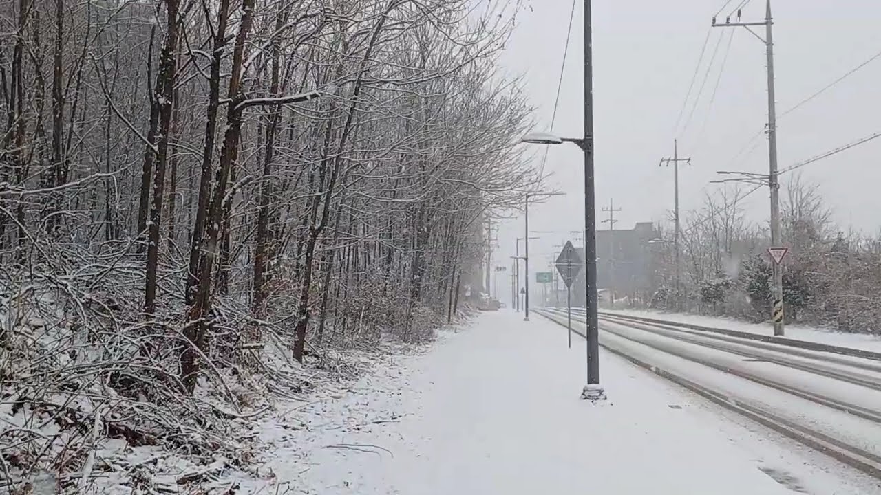 더 세차게 내리는 함박눈, 서정적 시골길 More n more snow is heavily falling on country side road at Yangju Korea