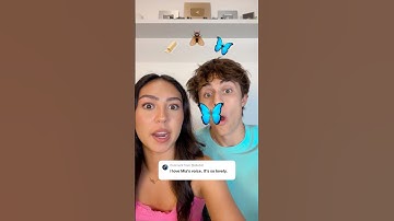 BUTTER 🧈 FLY 🪰 BUTTERFLY 🦋 TIKTOK FILTER! #shorts