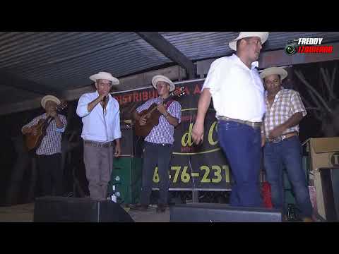TORRENTE ZARATE -
