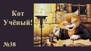 #38 "Кот учёный" Алмазная ВЫШИВКА для души!