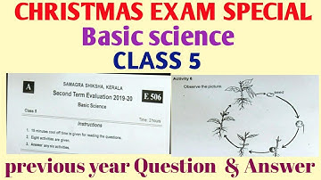 Christmas exam previous year Questions and Answers Class 5 Basic Science