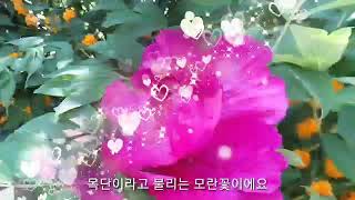 성공운 안겨주는 목단