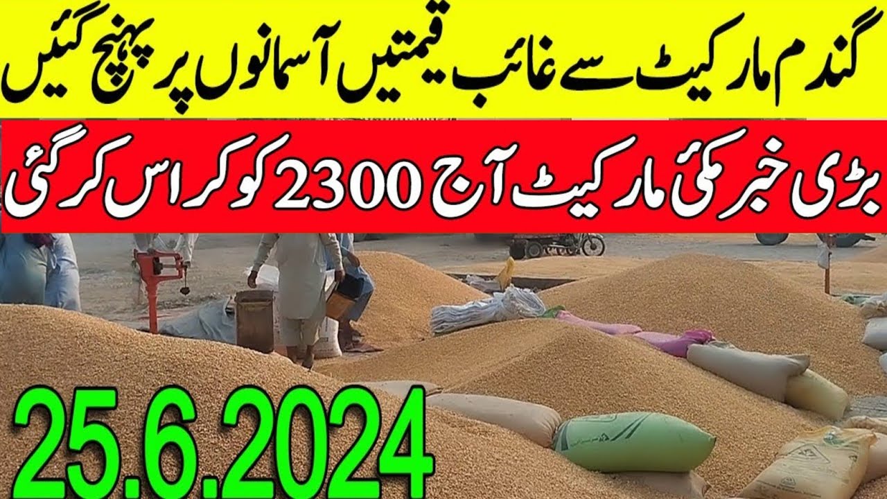 wheat price today punjab/today gandam rate/makki rate /Galla mandi rate ...