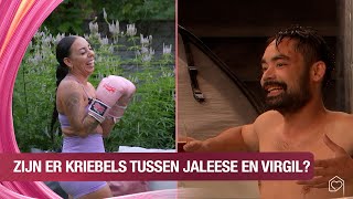 Download Lagu Krijgen Virgel en Jaleese kriebels? | Lang Leve de Liefde MP3 Download Lagu Krijgen Virgel en Jaleese kriebels? | Lang Leve de Liefde MP3