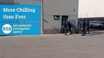 More Chilling Than Ever – Tackling Europe’s ongoing illegal trade in HFC climate super pollutants