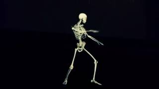FxGuru Video/skeleton dance