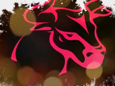 Madbulls - YouTube