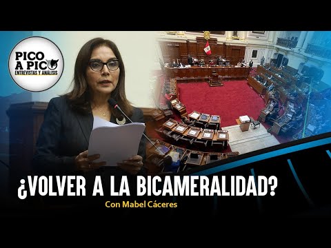 ¿Volver a la bicameralidad? | Pico a Pico con Mabel Cácers