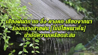 เสียงฝนตก กบ-อึ่ง-คางคก-เขียดจากนา ร้องกลางสายฝน [ไม่มีโฆษณาคั่น] บำบัดความเครียดสะสม ตื่นมาสดชื่น!