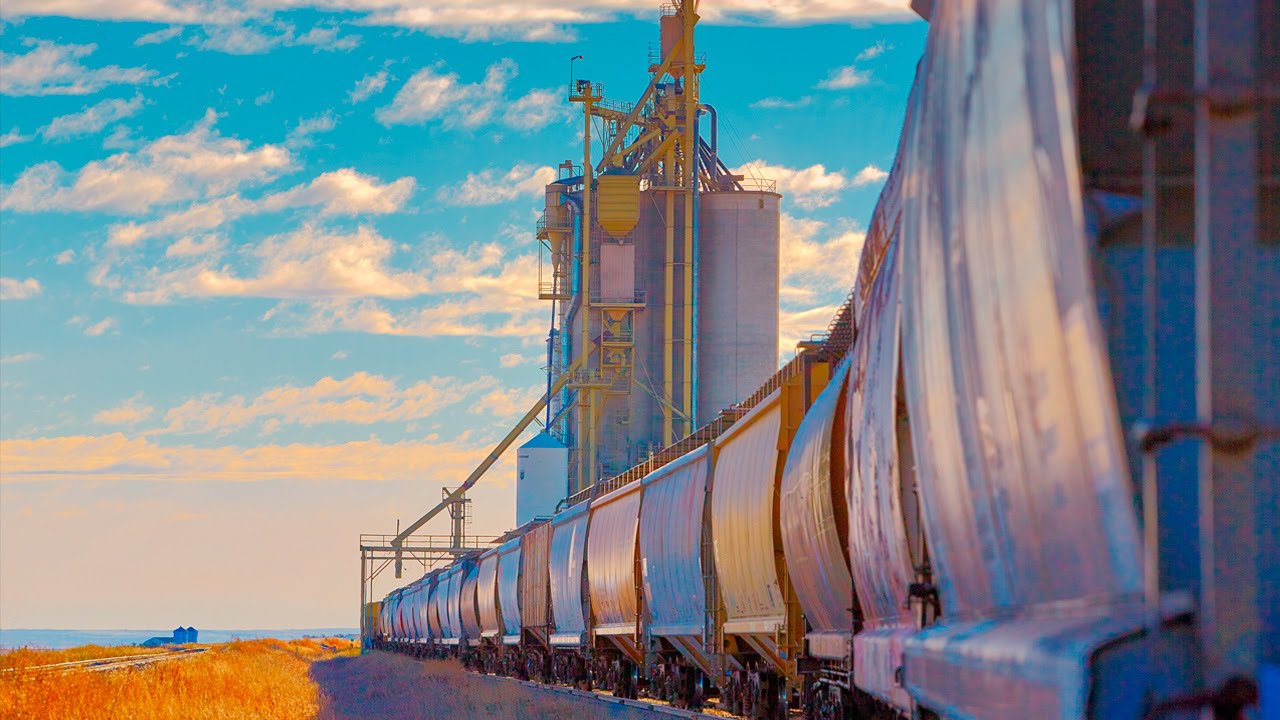 camera iphone 8 plus apk Blending disciplines will drive the innovations needed to feed our planet