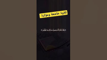 تلاوة خاشعة ومؤثرة جدا #تلاوة_مميزة #القرآن_الكريم #سورة_الكهف #تلاوة_خاشعة #reels #instagram