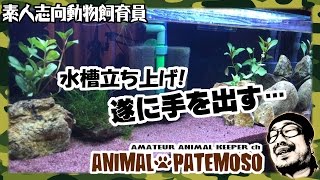 遂にアレに手を出してしまった・・・60cmスリム水槽を立ち上げる！