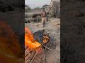 Cooking For Traditional Food Middle Of Nowhere Without Any Spices Africa Villagelife Wildlife Cooking For Traditional Food Middle Of Nowhere Without Any Spices Africa Villagelife Wildlife