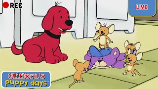 Live Cliffords Puppy Days Season 2 Full Episodes Scholastic