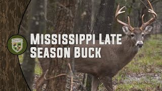 Mississippi Late Season Buck