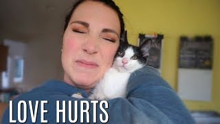 MY FOSTER KITTEN! | vlogmas by MamaKatTV 1,055 views 4 years ago 8 minutes, 15 seconds