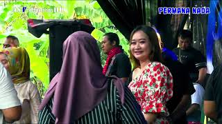 LINTANG RAINA - LUSY SHILVIA - FT PUNUK PERMANA NADA Live Setu Patok