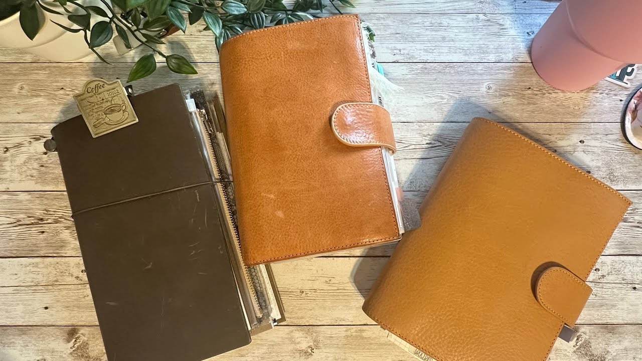 Standard TN set - up part 2.. Battling executive dysfunction #plannercommunity  #mentalhealth 