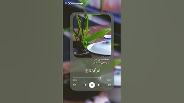 أستمع إلى تلاوة سورة النصر بصوت القارئ محمد عسال (داوود الجزائر)#قران_كريم #احلى_لايك