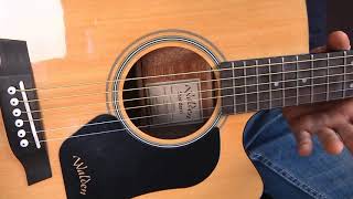 WALDEN Guitar - D350 Series - By GearTestUa