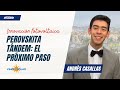 Yingli Solar revela su próximos pasos: “Queremos integrar perovskita para entregar la célula tándem”
