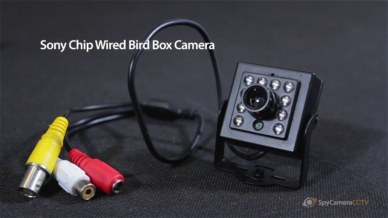 Wired Bird Box Camera Kit with Night 