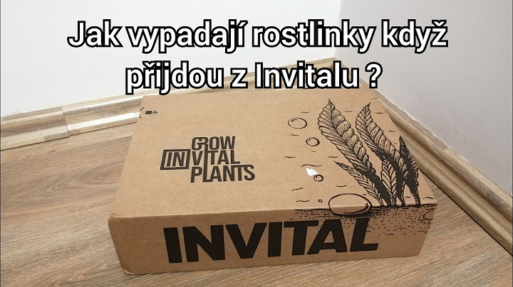 Jak vypadají rostlinky když přijdou z Invitalu