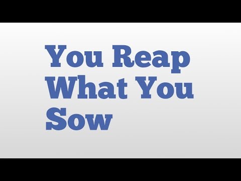 You Reap What You Sow meaning and pronunciation