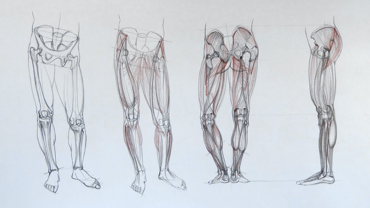 How to Draw Legs the Easy StepbyStep Guide with Simplified Anatomy   GVAATS WORKSHOP