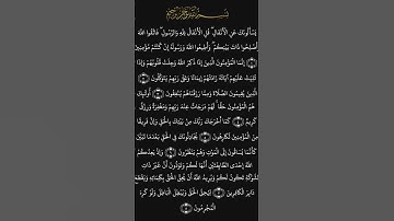 سوره الانفال الشيخ الحصري مرتل.