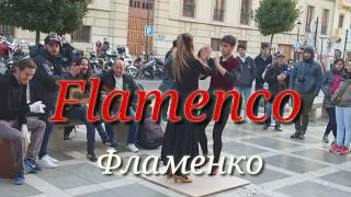 Испанский танец Фламенко /Spanish flamenco passion dance