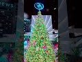 #christmas in #hollywood #fyp #usa #subscribe #losangeles
