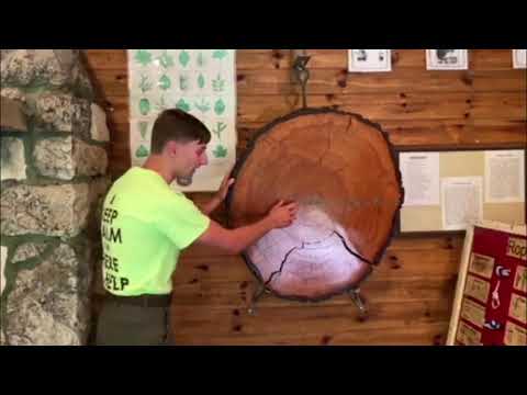 Webelos Elective Into the Woods - YouTube
