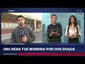 Dos niños de dos años murieron atacados por perros