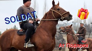 SOLDAT.  келишип. Калсак. Токулу Ат Подарка 🎁 