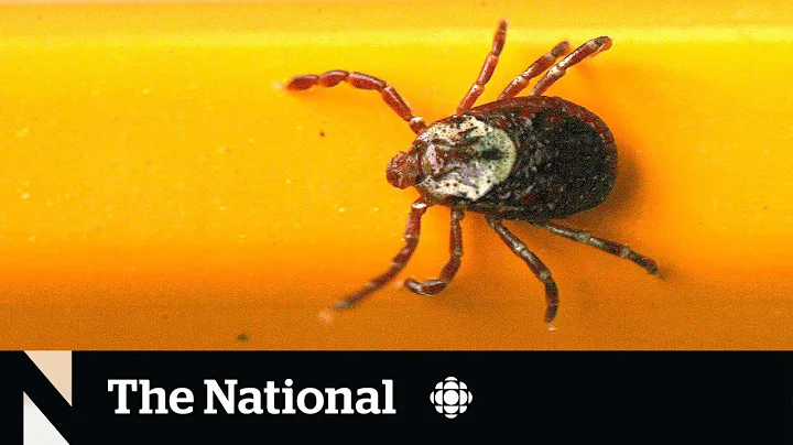 Early tick season raises fears of Lyme disease - DayDayNews