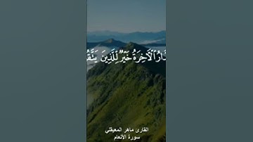 القارئ حاشد الذيب #اكسبلور #voiceeffects #السعوديه #القزابري #لايك #الرحمن #دويتو #poetry #love
