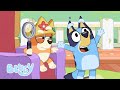 ブルーリー・スリル | ブルーイ - 日本公式チャンネル - Bluey