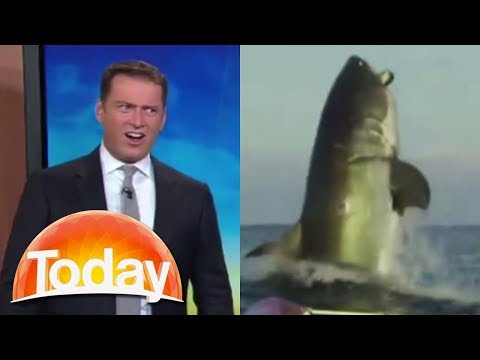 aussie-tv-host's-hilarious-reaction-to-shark-footage