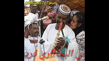 هيثم زمروي 