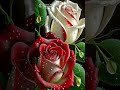 #flowers ✨✨