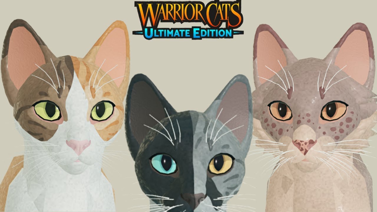 Twin Cat Warrior 2 (Two Player Game) 