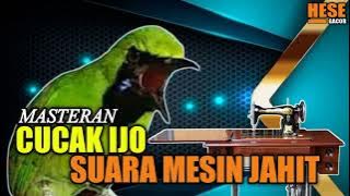 MASTERAN CUCAK IJO SUARA MESIN JAHIT