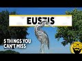 5 Things You Can't Miss in Eustis, Florida