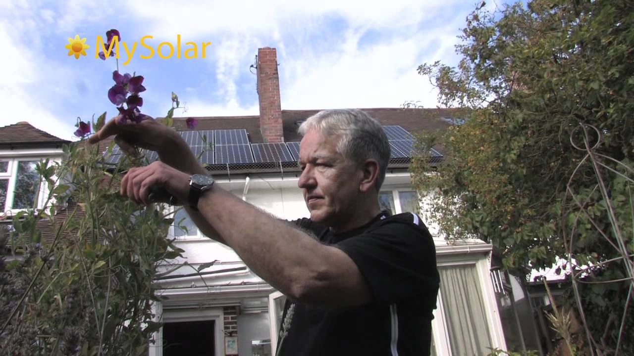 Solar Power Testimonial