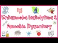 Amebiasis (Amoebic Dysentery) |  Pathogenesis, Clinical presentation, Diagnosis & Treatment