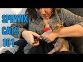 Owning a Sphynx cat 101 (Quick look) の動画、YouTube動画。